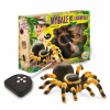 Buki RC Tarantule