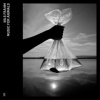 Frahm Nils - Music For Animals / 3CD [3 CD]