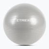 TREXO Gymball TXO-B4Z007-GY 55 cm sivá