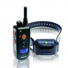 Dogtra 620NCP