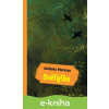 E-kniha Světýlko - Antonio Moresco