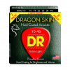 DR Strings Dragon Skin DSA-2/10