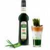 Barmanský sirup PANDAN 700 ml na kávu, nápoje, dezerty, koncentrát TEISSEIRE