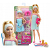 Súprava s bábikou Barbie Luxury Spa (BARBIE BÁBIKA RELAX V SPA set so psíkom GJG55)