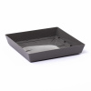 Prosperplast miska LOFLY SQUARE šedý kameň 16,5 cm
