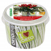 Ortolino - červené chillie - VERDEMAX - nádobka, kompost v kokosovom vlákne, osivo