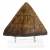 Elite Creature Collectibles Jurassic Park Soška Triceratops Spike Prop (Reproduction) 19 cm