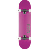 Globe - Goodstock - Neon Purple 8.25