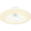 Globo 03628