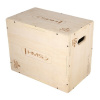 DSC04 Plyo Box HMS