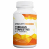 GymSupps Tribulus Terrestris 90% + Piperine 100 kapslí