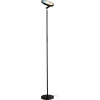 Paulmann 78019 stojací lampa 20 W černá