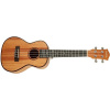 CASCHA HH 2035 Concert Mahogany Ukulele Sada