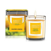 Areon Dolce Viaggio 120g