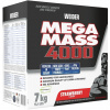 Weider Mega Mass 4000 jahoda 7 kg