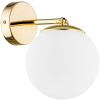 Argon Satelite Plus nástenná lampa 1x15 W mosadzná-opálová 4744