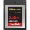 SanDisk 256GB SDCFE-256G-GN4NN
