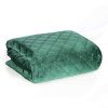 Prikrývka na posteľ - Eurofirany Eurofirany iba 210 x 170 cm odtieňov zelenej (Bedspread Velvet 170x210 Eurofirany Ria 1 C.Zied)