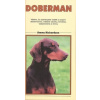 Doberman