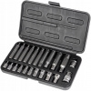 Richmann Tools Sada bitov RIBE M4-M18 S2 22 ks