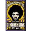 Two Riders Were Approaching: The Life & Death of Jimi Hendrix - Mick Wall, Orion Publishing Co