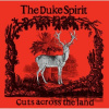 The Duke Spirit: Cuts Across The Land (Red Yellow) LP - The Duke Spirit
