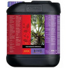 Atami B’cuzz Coco Booster 5l