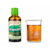 OSTROPESTŘEC KAPKY - bylinné kapky - tinktura 50 ml BYLINNÉ KAPKY