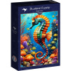 BLUEBIRD Puzzle Morský koník 1000 dielikov