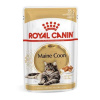 ROYAL CANIN FBN MAINE COON 120x85g (ROYAL CANIN FBN MAINE COON 85g kapsička)