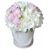 Flower Box White Hydrangea pivonka Peonia Peonia (Flower Box White Hydrangea pivonka Peonia Peonia)