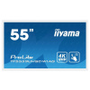 IIYAMA Prolite 55