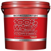 100% Whey Protein Professional 5000 g - Scitec Nutrition Príchuť: Vanilka - Lesné ovocie