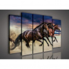 Obraz na plátne viacdielny - OB2838 - Kone 150cm x 100cm - S12