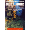 Rudé moře-potápění a šnorchlování- Lonely Planet