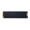 PATRIOT P300/256GB/SSD/M.2 NVMe/5R (P300P256GM28)