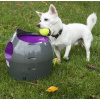 PetSafe automatický vrhač míčků