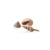 biOrb Umelá dekoracia - Sea Shells Decor Set natural 13 cm, 6,5 cm, 9,5 cm