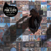 The Best Of Pink Floyd: A Foot In The Door - Pink Floyd LP