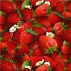 Elizabeth's Studio Jahody / STRAWBERRIES RED / farba červená