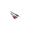 PremiumCord Kabel Jack 3.5mm-2xCINCH M/M 2m (kjackcin)