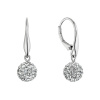 Strieborné náušnice so Swarovski kryštálmi 31326.1