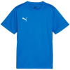 Detské tričko Puma TeamGoal blue 658637 02 128 cm