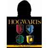 E plus M detské plážové pončo / osuška s kapucňou Harry Potter 55 x 110 cm
