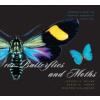 100 Butterflies and Moths