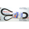 Drážkový řemen FORD MAZDA MERCEDES BENZ VOLVO VW (6PK2215 FORD 1343139 FORD 1387693 FORD 1422141 FORD 1473402 FORD 5S6G6006AA FORD 5S6G6006AC FORD 5S6Q6C301BA MAZDA L32715909 MAZDA L32715909A MAZDA L3