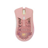 White Shark Lionel Pink WGM-5012