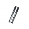 BITUBO Fork springs kit BITUBO Progressive (+1 Lt. Oil)