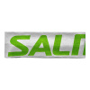 Salming headband green/white