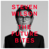 WILSON STEVEN - THE FUTURE BITES (1CD)